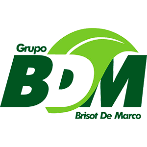bdm